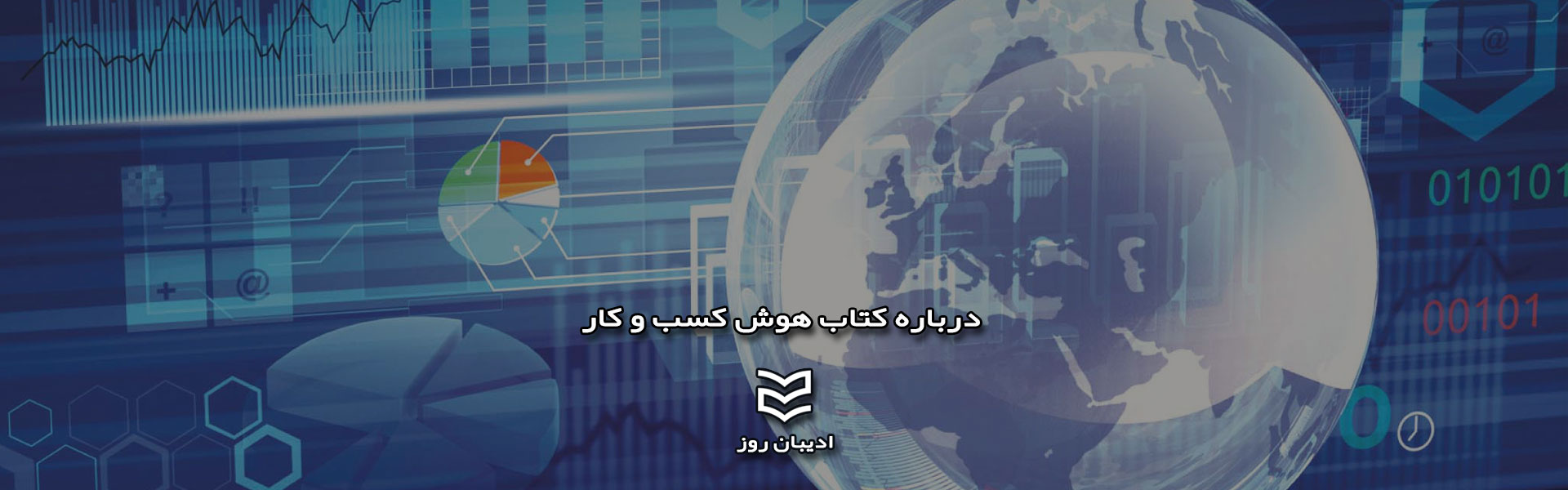 درباره کتاب هوش کسب و کار