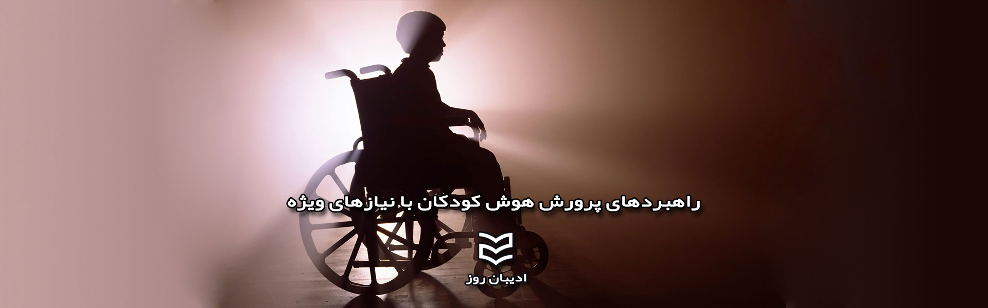 راهبردهای پرورش هوش کودکان با نیازهای ویژه