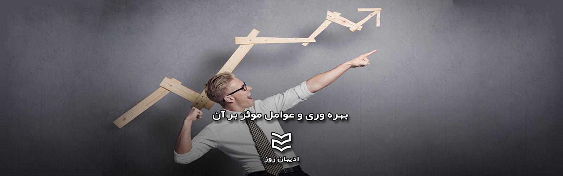 بهره وری و عوامل موثر بر آن